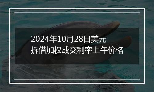 2024年10月28日美元拆借加权成交利率上午价格