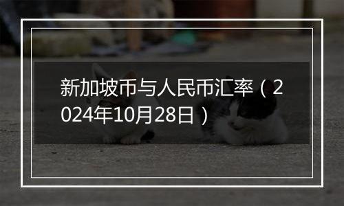 新加坡币与人民币汇率（2024年10月28日）