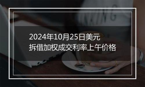 2024年10月25日美元拆借加权成交利率上午价格