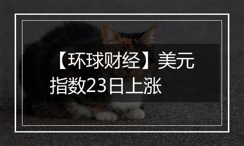 【环球财经】美元指数23日上涨