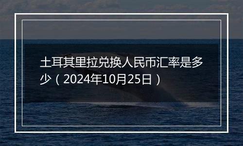 土耳其里拉兑换人民币汇率是多少（2024年10月25日）