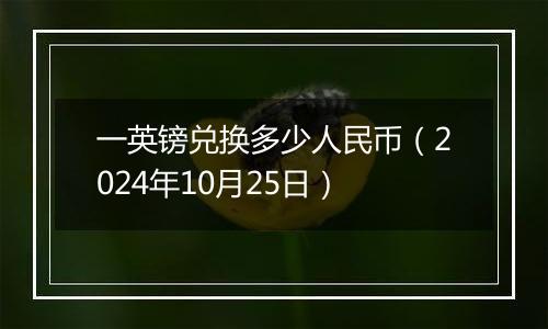 一英镑兑换多少人民币（2024年10月25日）