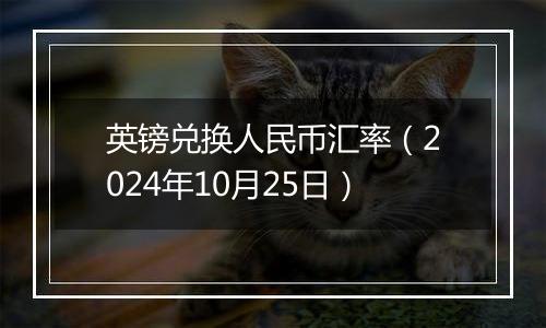 英镑兑换人民币汇率（2024年10月25日）