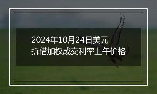 2024年10月24日美元拆借加权成交利率上午价格