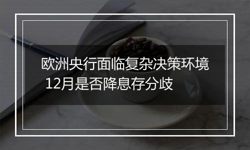 欧洲央行面临复杂决策环境 12月是否降息存分歧