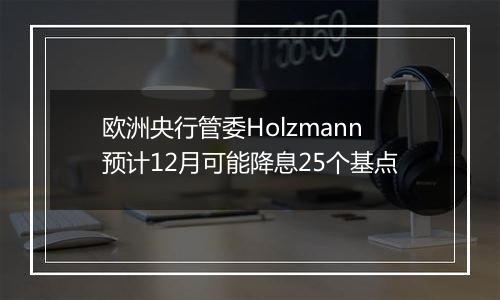 欧洲央行管委Holzmann预计12月可能降息25个基点