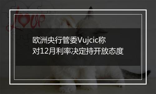 欧洲央行管委Vujcic称对12月利率决定持开放态度