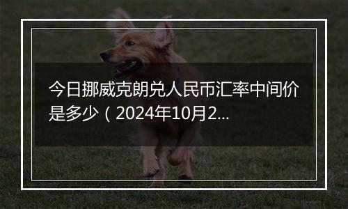 今日挪威克朗兑人民币汇率中间价是多少（2024年10月24日）