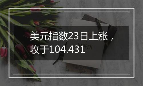 美元指数23日上涨，收于104.431