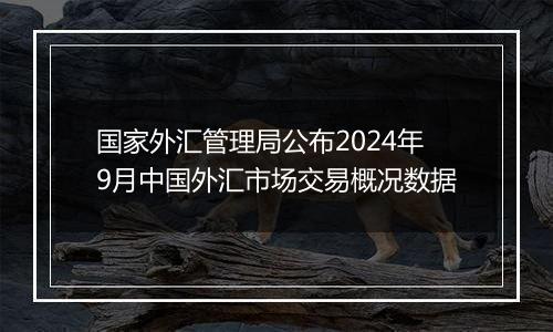 国家外汇管理局公布2024年9月中国外汇市场交易概况数据