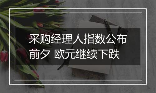 采购经理人指数公布前夕 欧元继续下跌