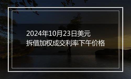 2024年10月23日美元拆借加权成交利率下午价格