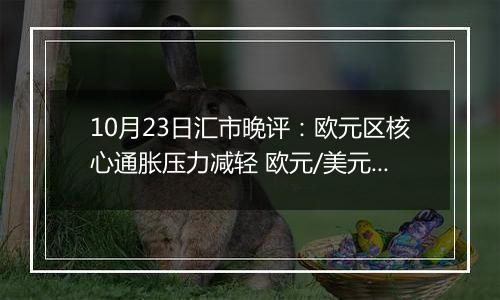 10月23日汇市晚评：欧元区核心通胀压力减轻 欧元/美元在1.0800下方保持防御