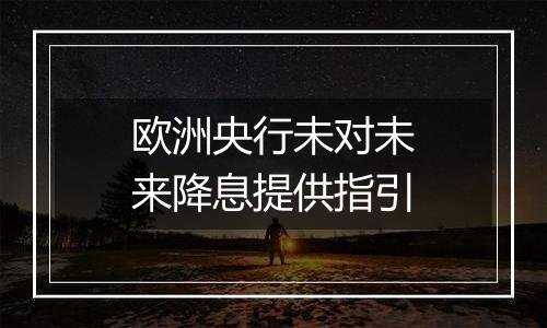 欧洲央行未对未来降息提供指引