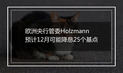 欧洲央行管委Holzmann预计12月可能降息25个基点