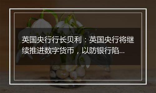 英国央行行长贝利：英国央行将继续推进数字货币，以防银行陷入困境