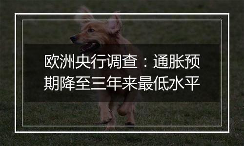 欧洲央行调查：通胀预期降至三年来最低水平