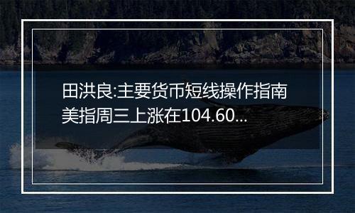 田洪良:主要货币短线操作指南 美指周三上涨在104.60之下遇阻