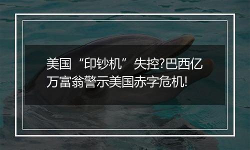 美国“印钞机”失控?巴西亿万富翁警示美国赤字危机!