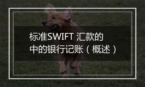 标准SWIFT 汇款的中的银行记账（概述）