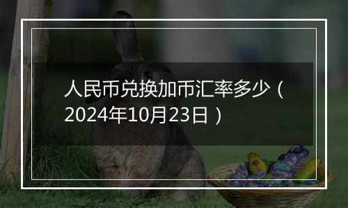 人民币兑换加币汇率多少（2024年10月23日）