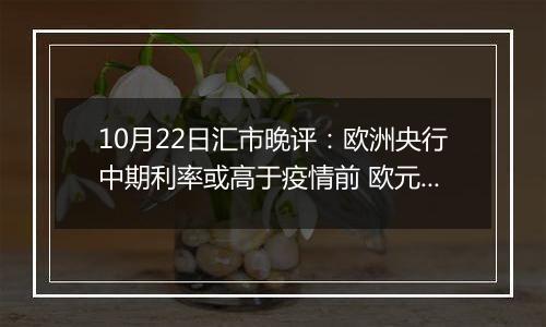 10月22日汇市晚评：欧洲央行中期利率或高于疫情前 欧元/美元维持在1.08上方