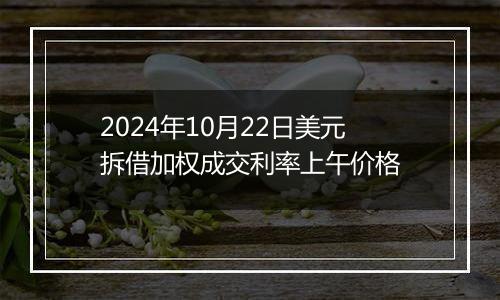 2024年10月22日美元拆借加权成交利率上午价格