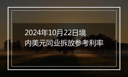 2024年10月22日境内美元同业拆放参考利率