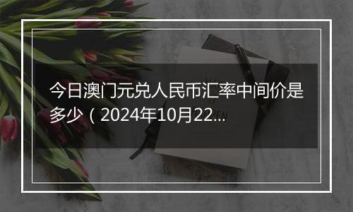 今日澳门元兑人民币汇率中间价是多少（2024年10月22日）