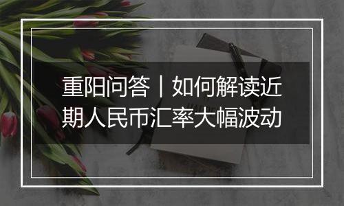 重阳问答︱如何解读近期人民币汇率大幅波动