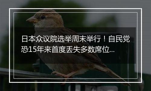 日本众议院选举周末举行！自民党恐15年来首度丢失多数席位？