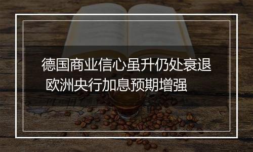 德国商业信心虽升仍处衰退 欧洲央行加息预期增强