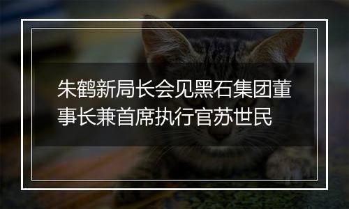 朱鹤新局长会见黑石集团董事长兼首席执行官苏世民