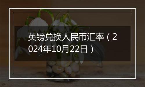 英镑兑换人民币汇率（2024年10月22日）
