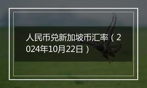 人民币兑新加坡币汇率（2024年10月22日）