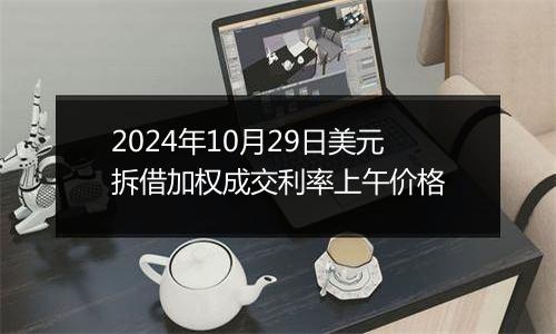 2024年10月29日美元拆借加权成交利率上午价格