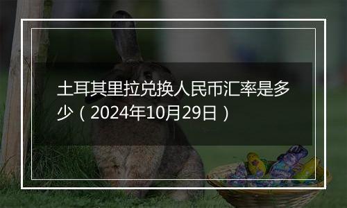 土耳其里拉兑换人民币汇率是多少（2024年10月29日）