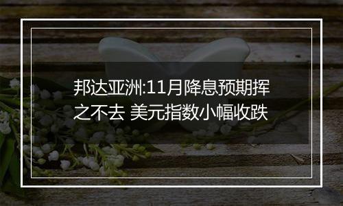 邦达亚洲:11月降息预期挥之不去 美元指数小幅收跌