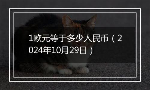 1欧元等于多少人民币（2024年10月29日）