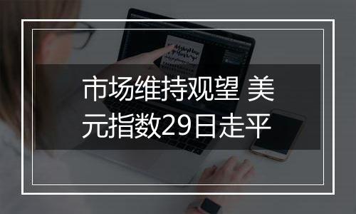 市场维持观望 美元指数29日走平