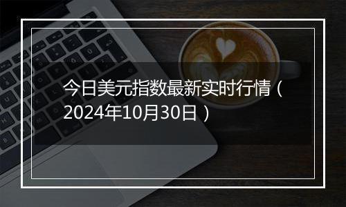 今日美元指数最新实时行情（2024年10月30日）