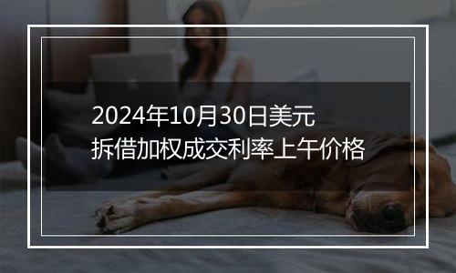 2024年10月30日美元拆借加权成交利率上午价格