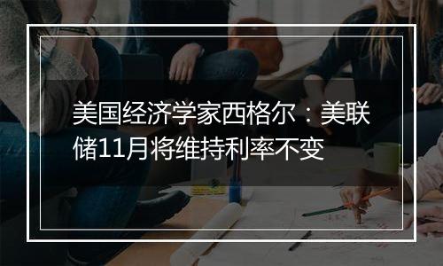 美国经济学家西格尔：美联储11月将维持利率不变