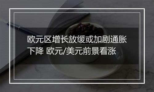 欧元区增长放缓或加剧通胀下降 欧元/美元前景看涨