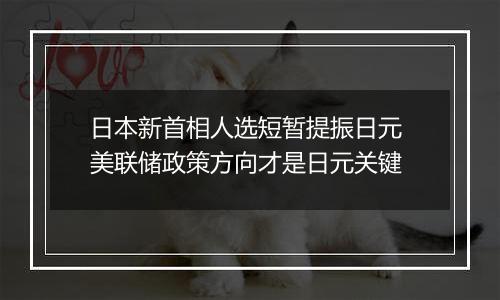 日本新首相人选短暂提振日元 美联储政策方向才是日元关键