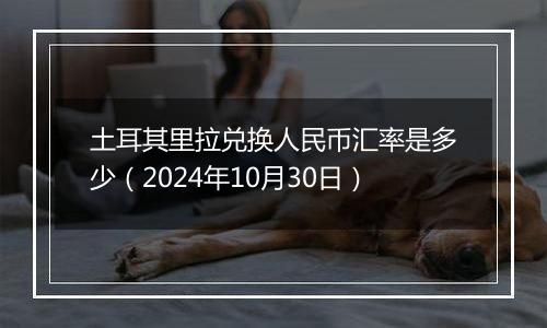 土耳其里拉兑换人民币汇率是多少（2024年10月30日）