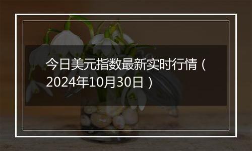 今日美元指数最新实时行情（2024年10月30日）