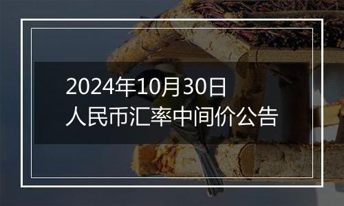 2024年10月30日人民币汇率中间价公告