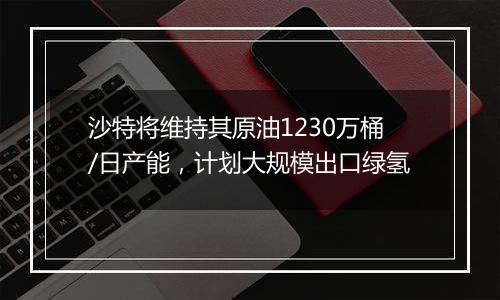 沙特将维持其原油1230万桶/日产能，计划大规模出口绿氢