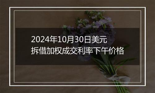 2024年10月30日美元拆借加权成交利率下午价格